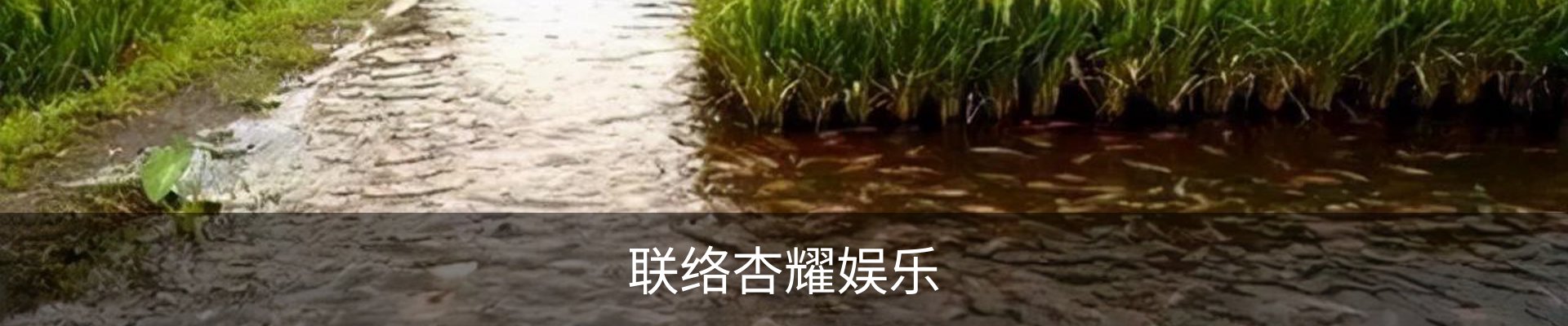联络杏耀娱乐